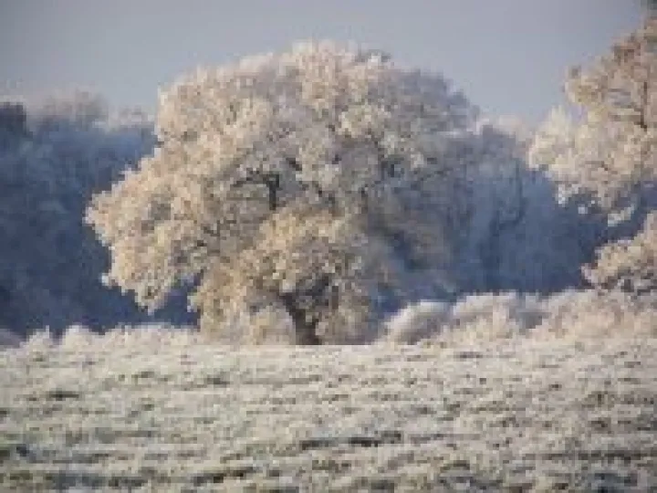 Winter in Wilkesley