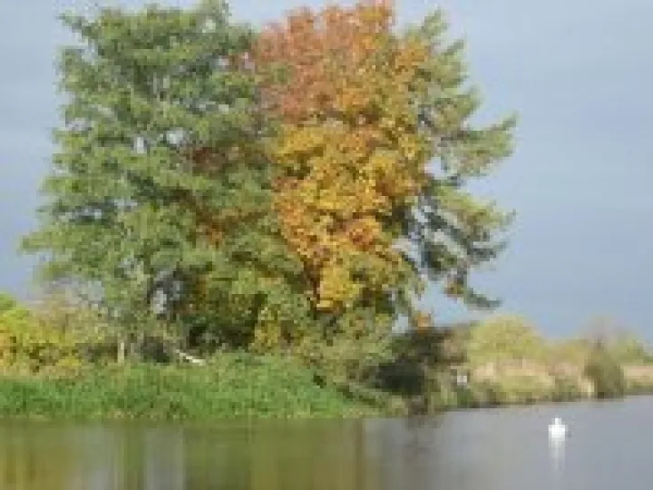 Autumn on the canal
