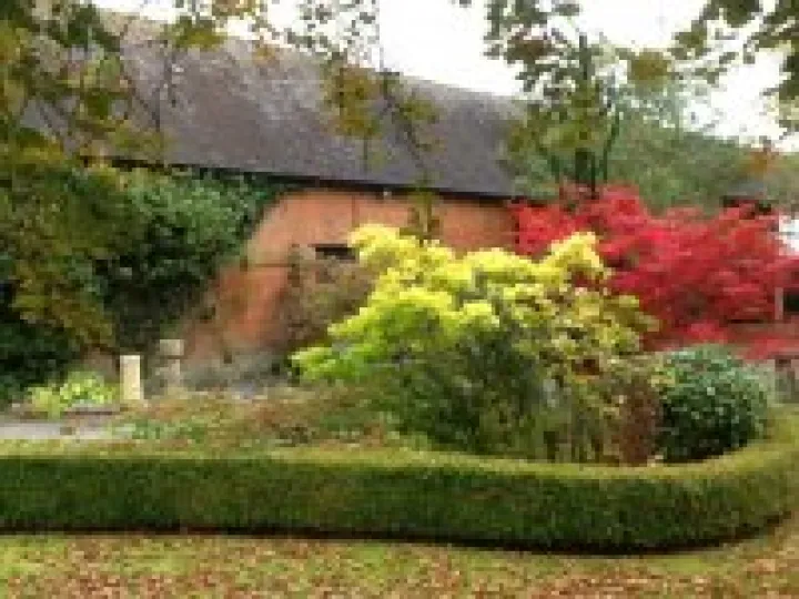 Autumn Colours