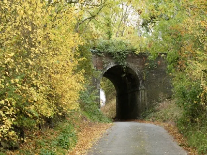 Autumn Audlem