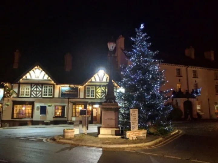 Christmas tree and Lord C