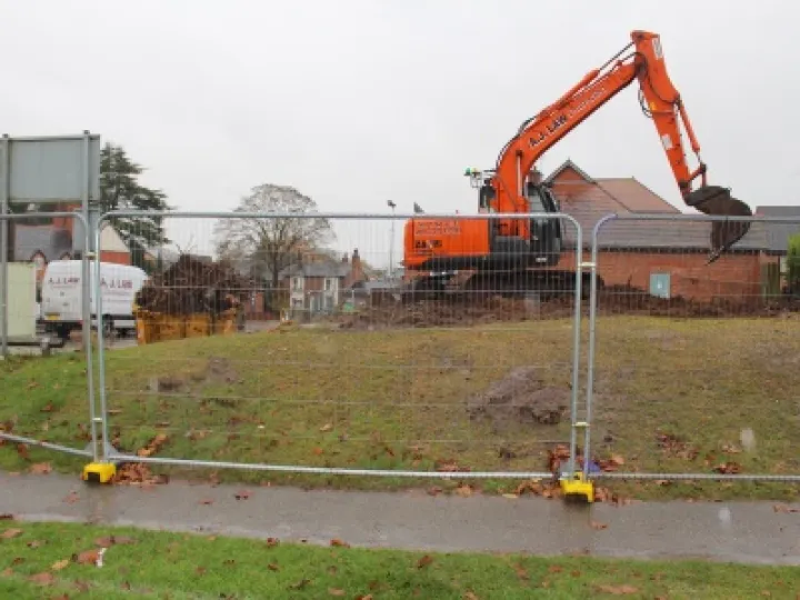 Tree root removal