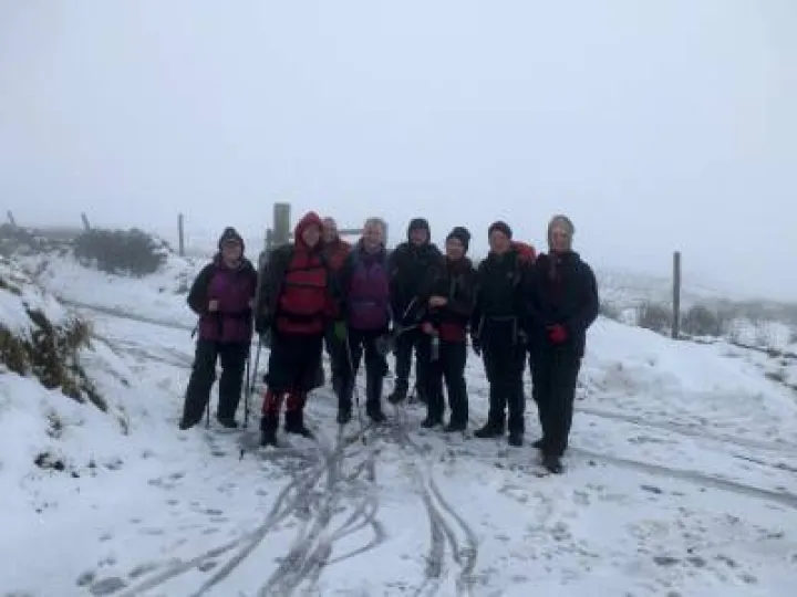 ARS Walk