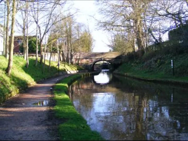 Spring Canal Scenes