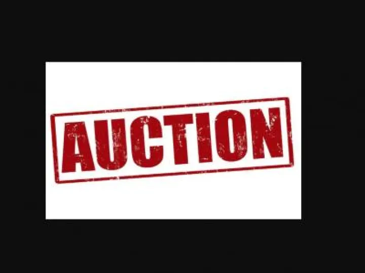 lllovely Auction