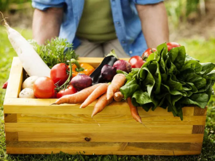 Veg