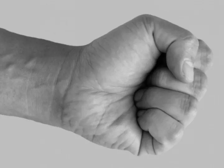 Fist