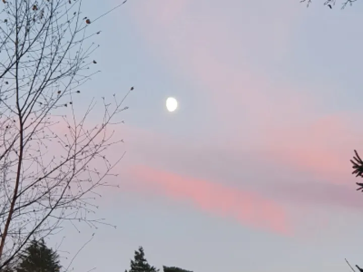 plume 2
