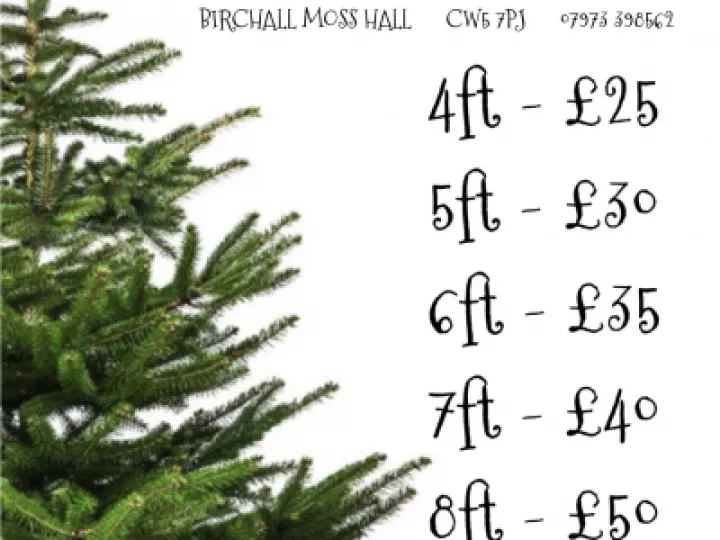 Xmas trees