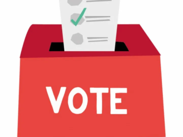 ELECTIONS AND VOTING GRAPHIC (002)