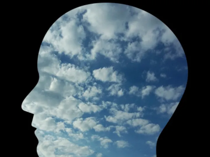 Mental Health
