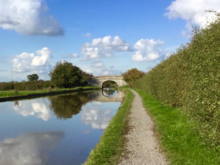 bridge 80