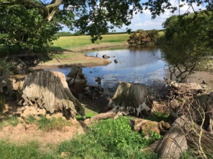 ponds-M343609