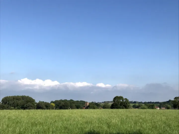 Minshull summer