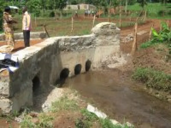 Kenya Mick 583