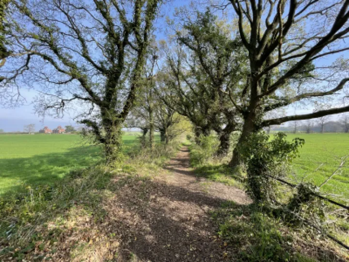 Thomason Bridge