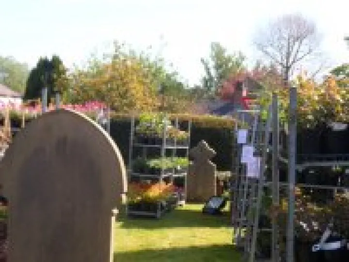 2014 Plant Sale