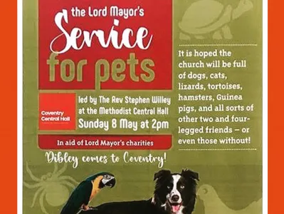What's On 8th May