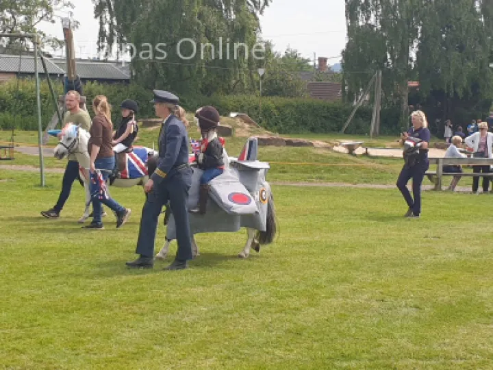 RAF Pony