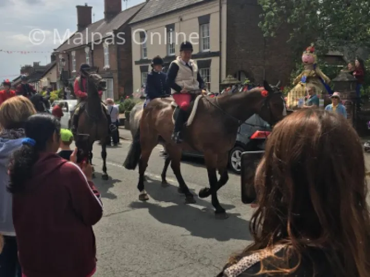 Horse 2