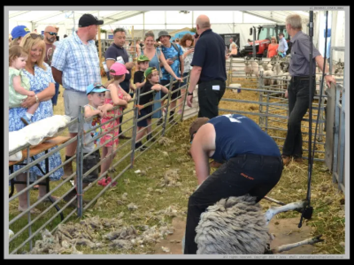 Cheshire Show 2022 A