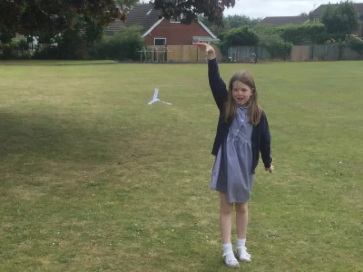Seed dispersal
