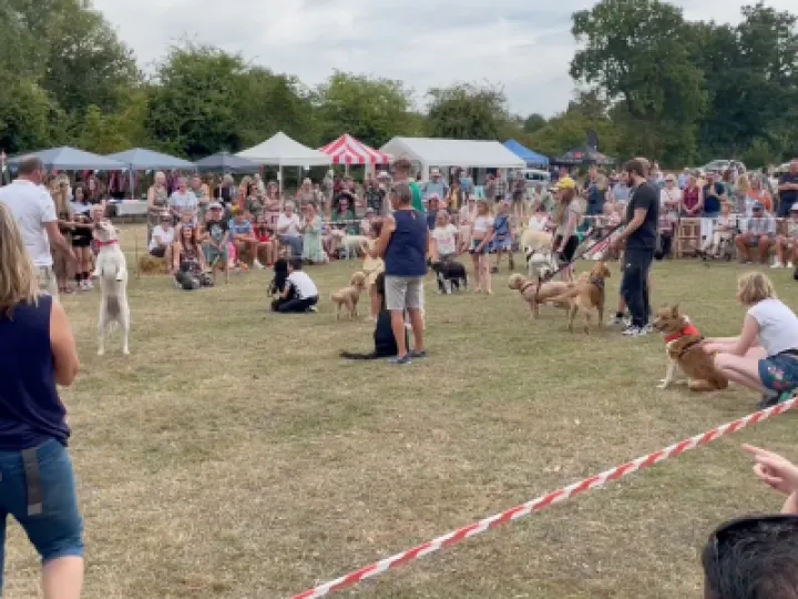 Audlem Fete