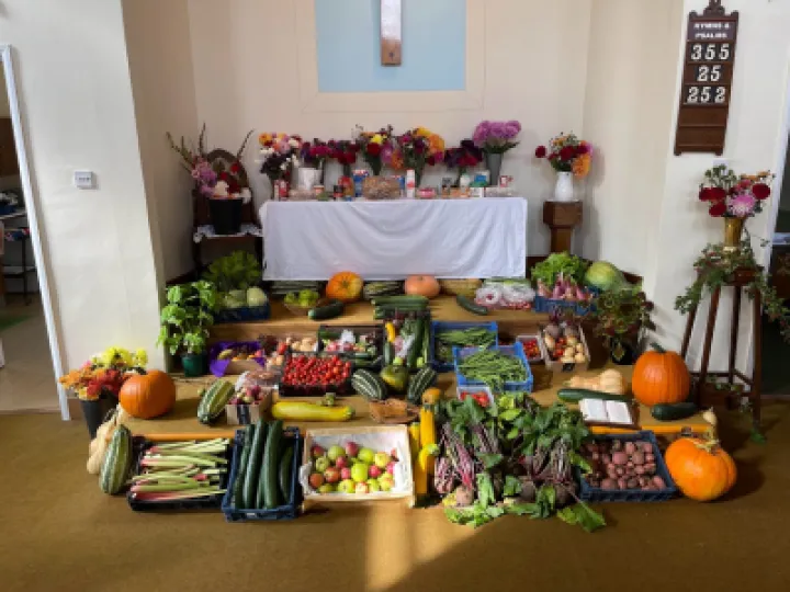Harvest 2022