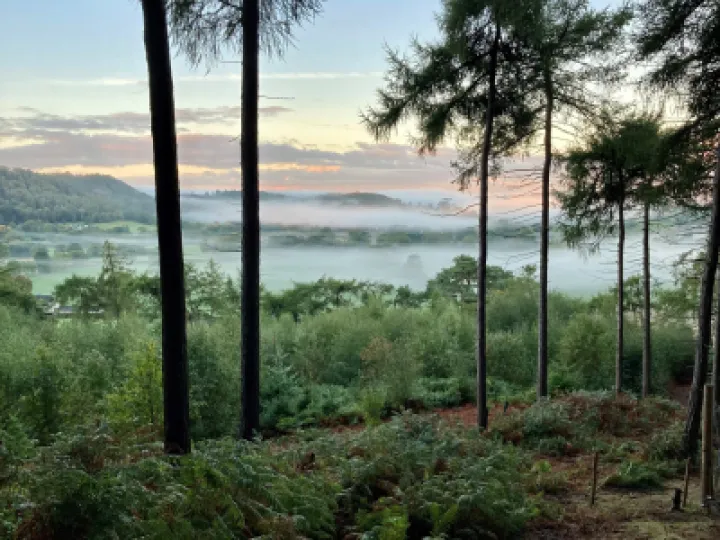bickerton in mist