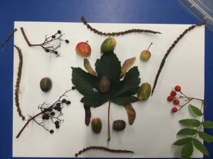 Autumn Art