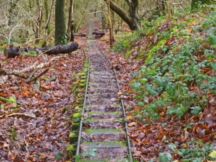Tracks_s01794