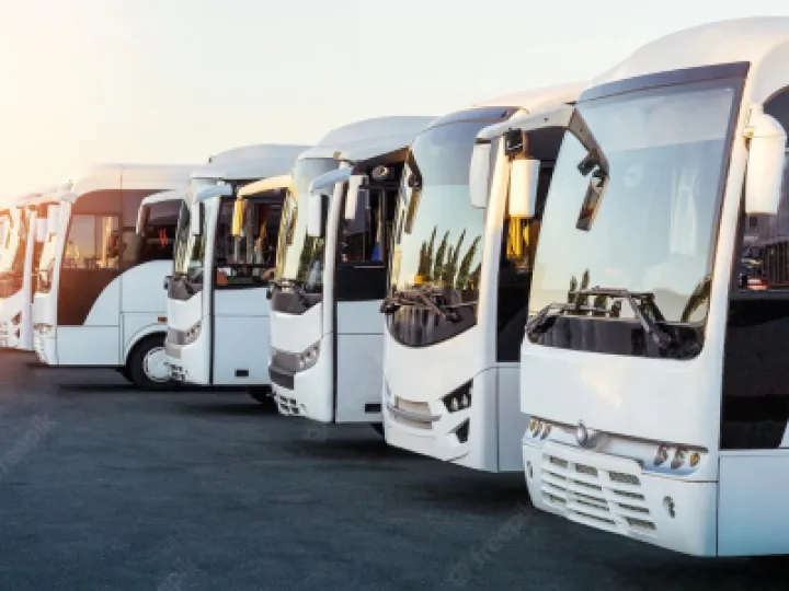 buses