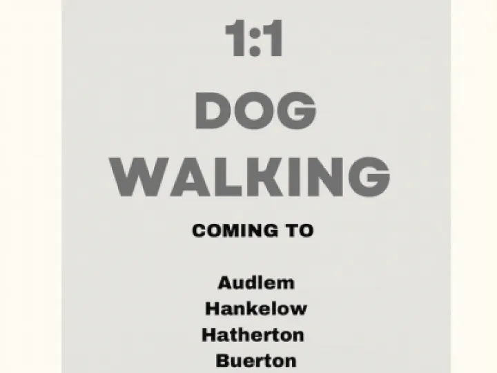 Dog Walking