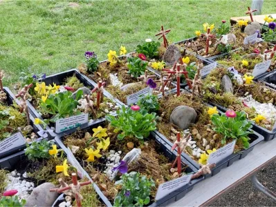 A few of the completed gardens