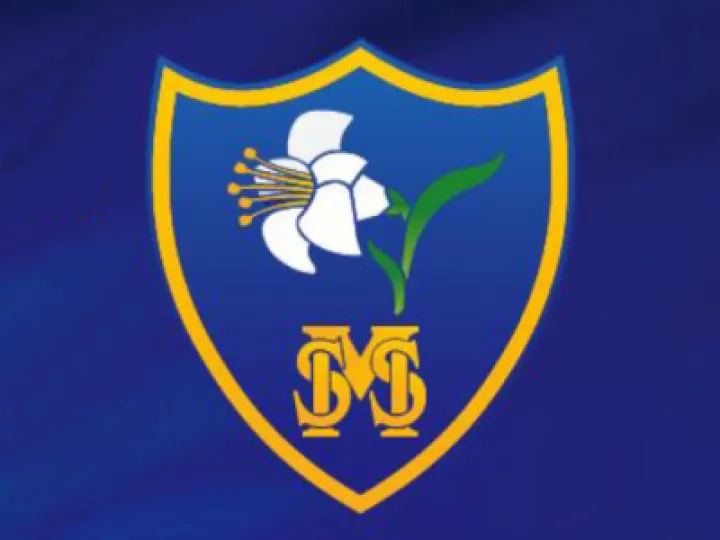 HStM School logo
