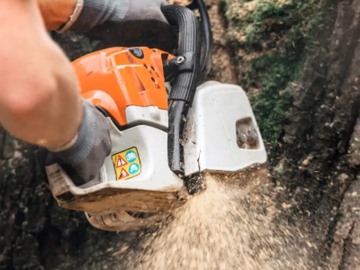 Tree Work
