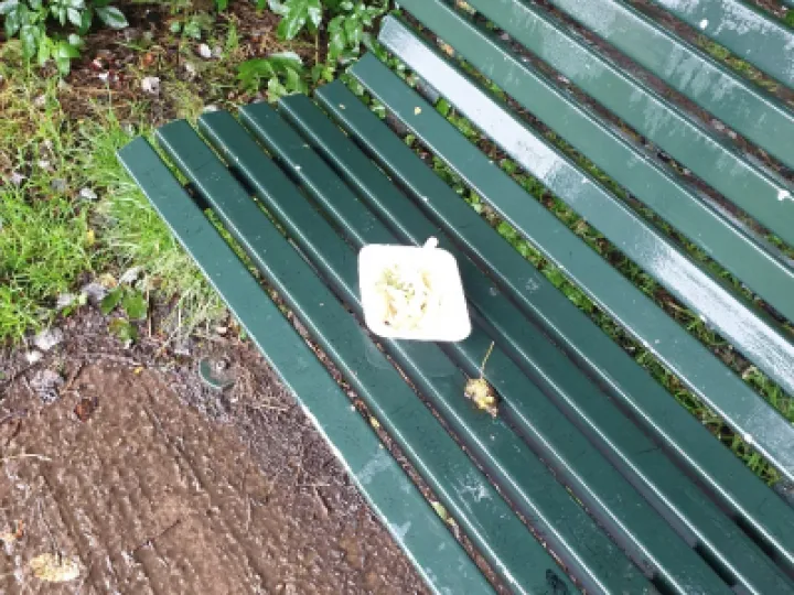 Litter
