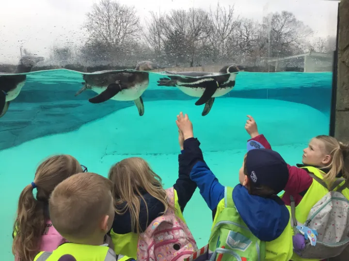 Zoo