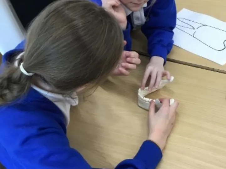 Y4 science week Y4