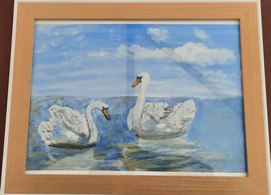 Mr & Mrs Swan