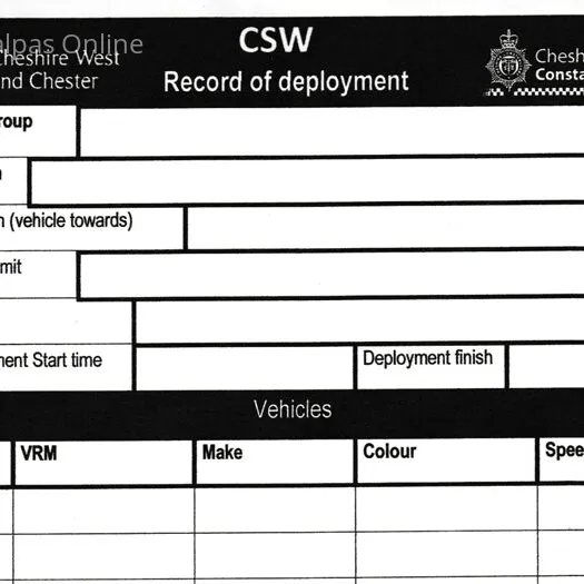 Record Sheet