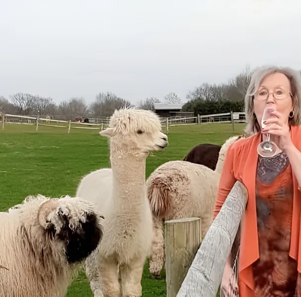 Alpaca Birthday Party 1