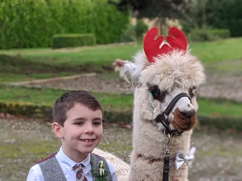 Boy With Alpaca