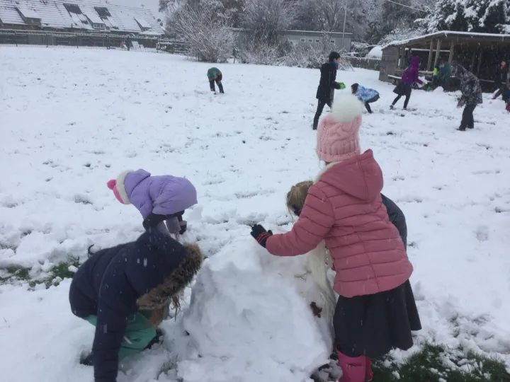 Snow 1