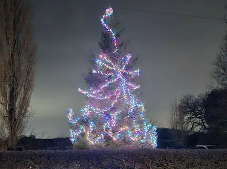 Hatton Xmas Tree 1