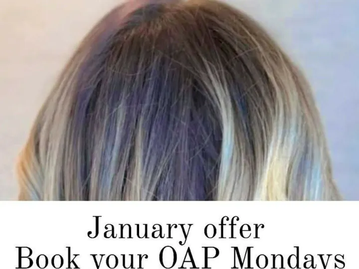 Tracey Oap Offers