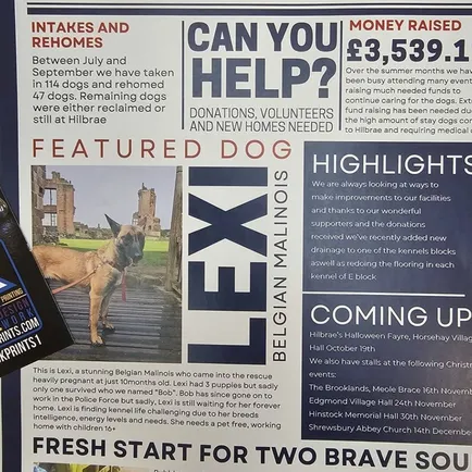 Hilbrae Newsletter A4 170gsm Silk Flyers