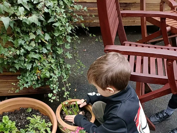 Jc garden
