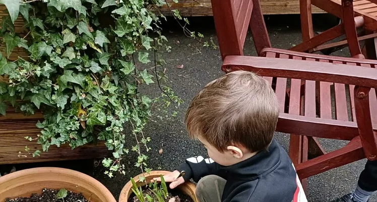 Jc garden