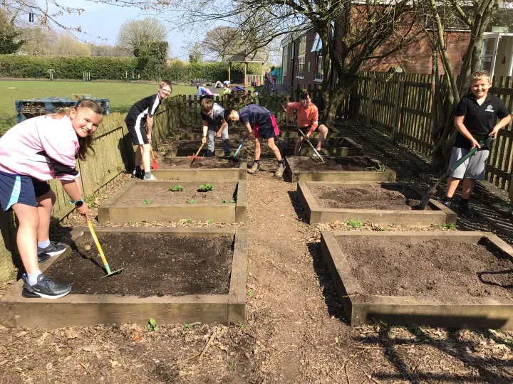 top soil